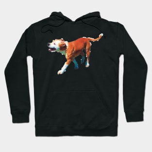 Smiling Happy Pit Bull Hoodie